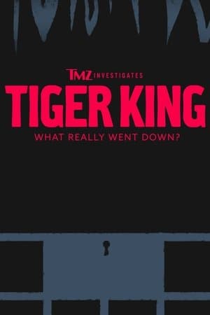 TMZ Investigates: Tiger King - What Really Went Down TMZ Investigates: Tiger King - What Really Went Down