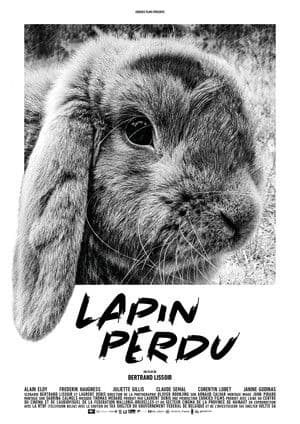 Lost Rabbit Lapin perdu