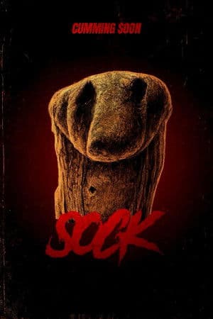 Sock