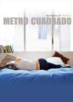 Metro cuadrado Metro cuadrado