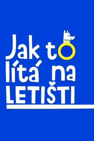 Jak to lítá na letišti Jak to lítá na letišti