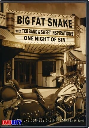 Big Fat Snake - One Night of Sin Big Fat Snake - One Night of Sin