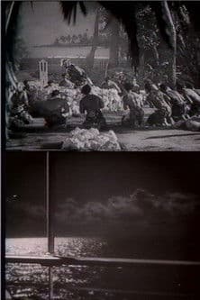 What Do You Think? Tupapaoo What Do You Think? Tupapaoo