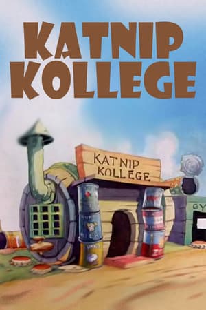 Katnip Kollege Katnip Kollege