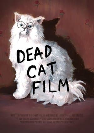 Dead Cat Film Dead Cat Film