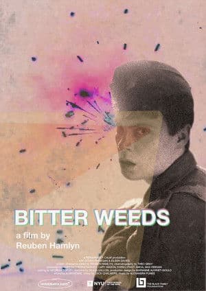 Bitter Weeds Bitter Weeds