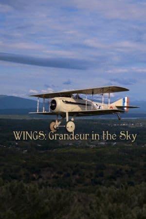 Wings: Grandeur in the Sky Wings: Grandeur in the Sky