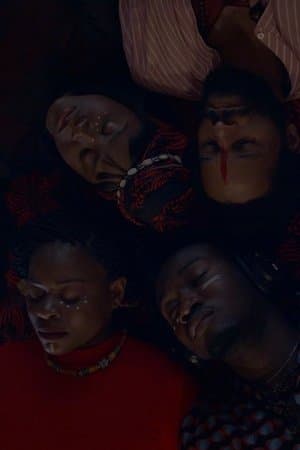 The Red Album or a Poetic Intent L'album Rouge ou L'intention Poétique