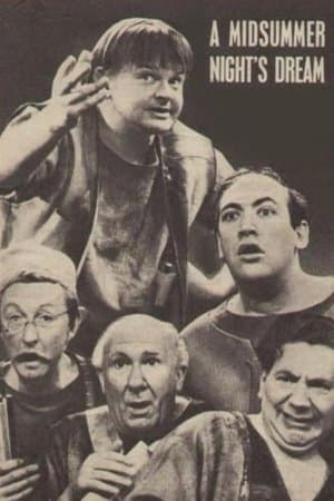 A Midsummer Night's Dream A Midsummer Night's Dream