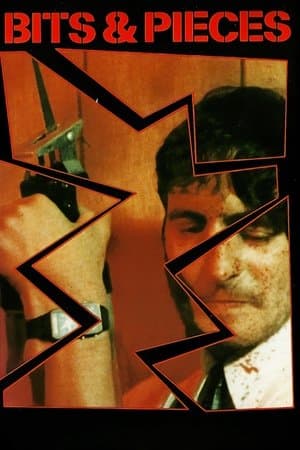 Bits and Pieces Bits and Pieces