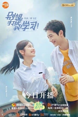 Don't Disturb My Study 别想打扰我学习