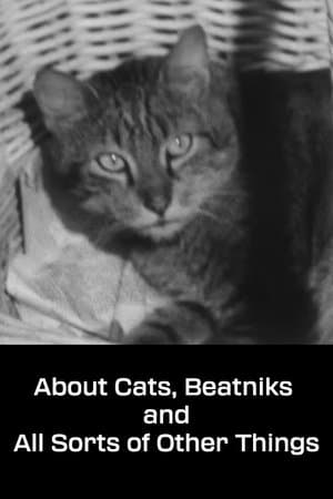 About Cats, Beatniks and All Sorts of Other Things O kočkách, beatnicích a všeličems jiném
