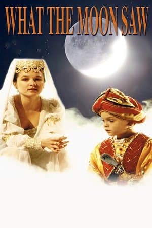 What the Moon Saw What the Moon Saw