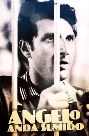 Ângelo Anda Sumido Ângelo Anda Sumido