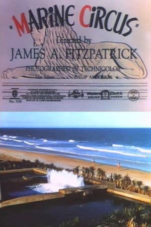 Marine Circus Marine Circus