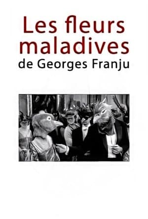 Les fleurs maladives de Georges Franju Les fleurs maladives de Georges Franju