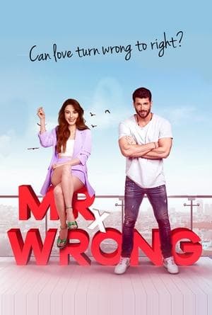 Mr. Wrong Bay Yanlış