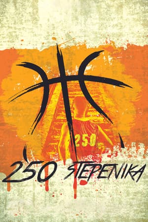 250 Steps 250 stepenika