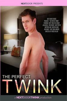 The Perfect Twink The Perfect Twink