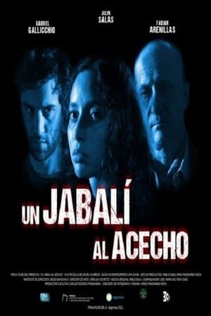 Un jabalí al acecho Un jabalí al acecho