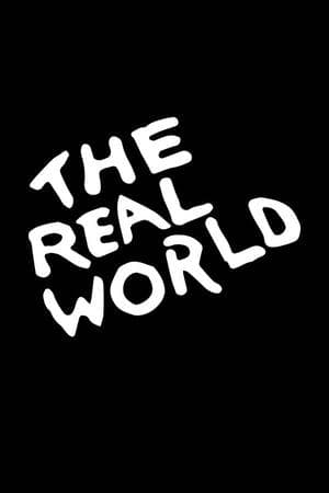 The Real World The Real World