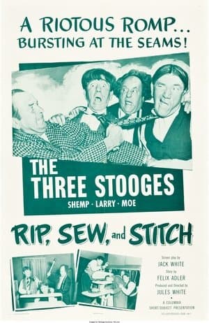 Rip, Sew and Stitch Rip, Sew and Stitch