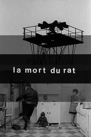 Death of the Rat La Mort du rat